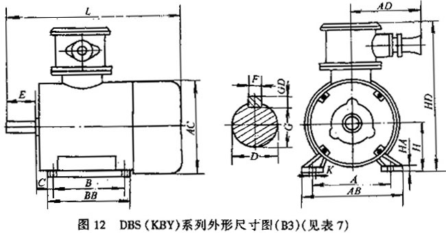 YBS系列運(yùn)輸機(jī)用隔爆型異步電動(dòng)機(jī)外形及安裝尺寸